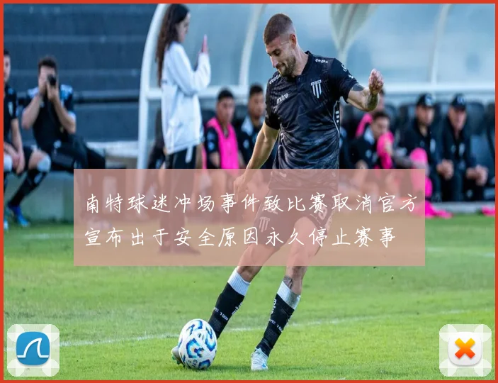 南特球迷冲场事件致比赛取消官方宣布出于安全原因永久停止赛事