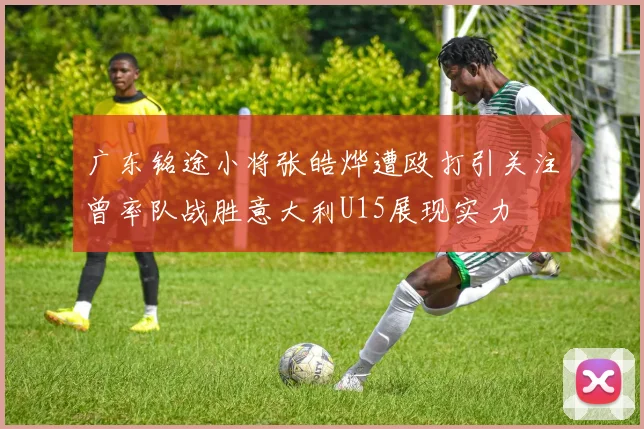 广东铭途小将张皓烨遭殴打引关注曾率队战胜意大利U15展现实力