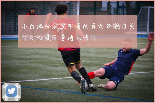 小白揭秘波波维奇的真实面貌与关怀之心展现普通人情怀