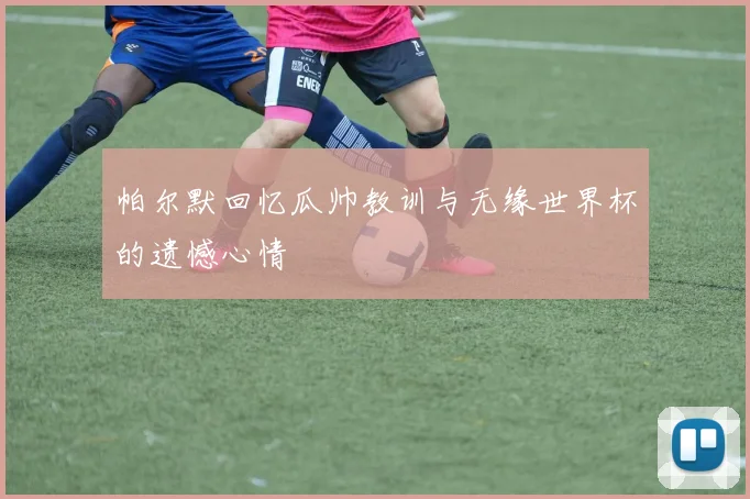 帕尔默回忆瓜帅教训与无缘世界杯的遗憾心情